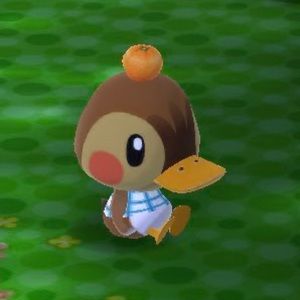 Meet your Posher, Hillary